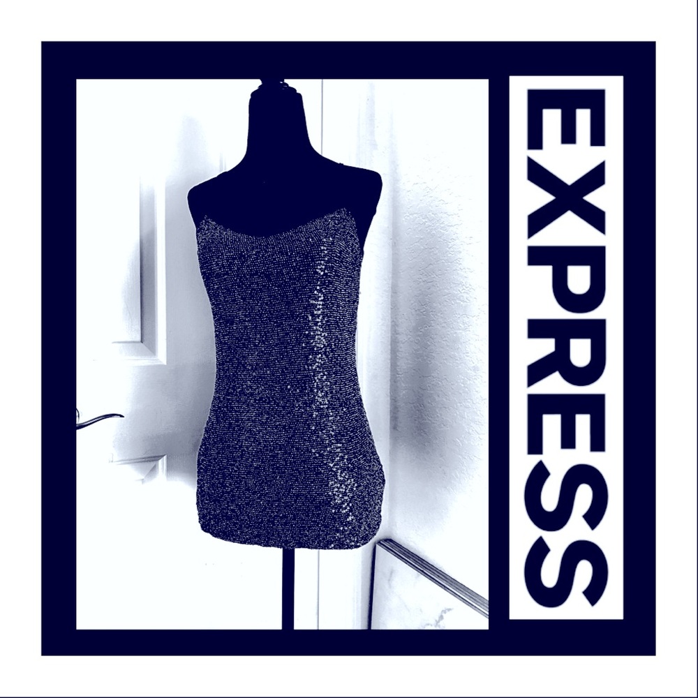 Express Gray & Silver Sequin Cami Tank Top